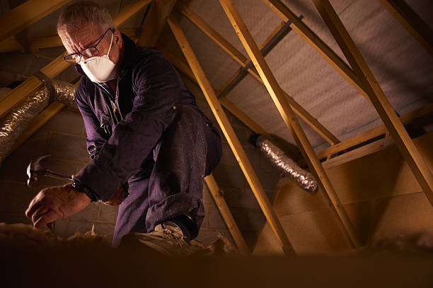 Types of Insulation We Offer in Woxall, PA